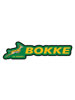 SA Rugby Bokke Magnet