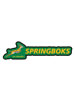 SA Rugby Springboks Magnet